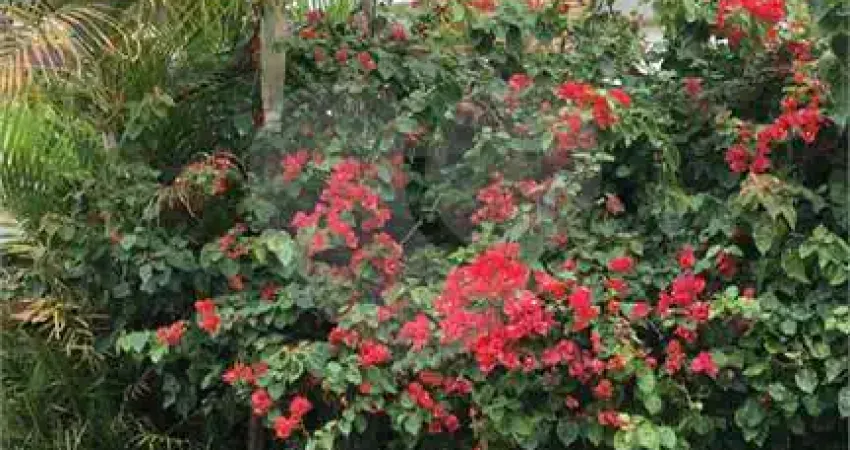 Terreno à venda no Horto Florestal, São Paulo 