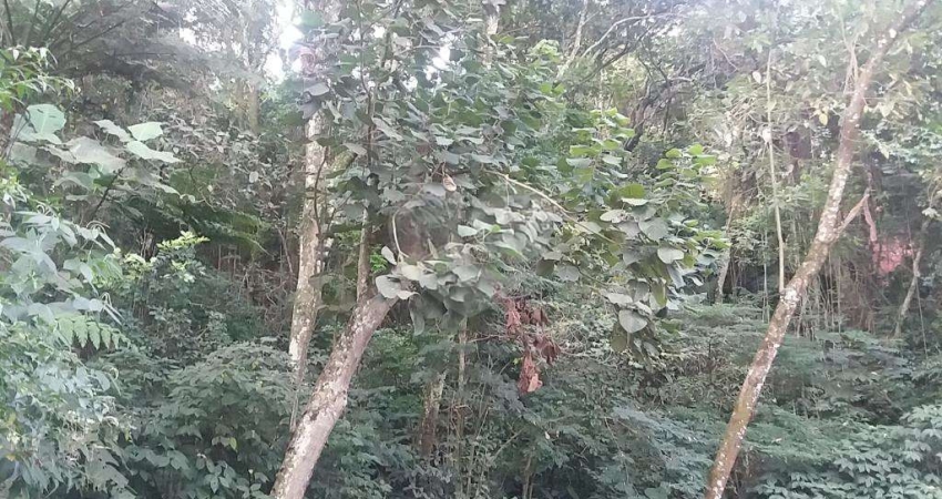 EXCELENTE OPORTUNIDADE PARA CONSTRUÇÃO DE ALTO PADRÃO