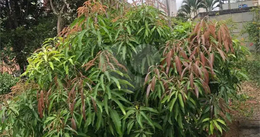 Terreno à venda na Rua Igapira, 1, Santana, São Paulo