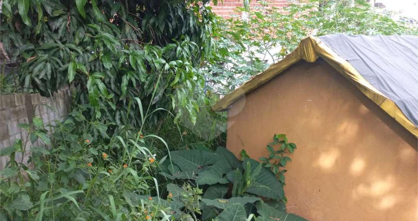 Terreno à venda na Vila Abrão Jorge, 10, Tucuruvi, São Paulo