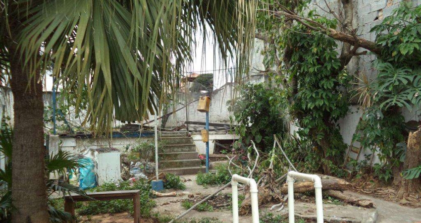 CASA TÉRREA MUITO BOA A VENDA NO PQ. PERUCHE - PRÓX. AV. CASA  VERDE - 3 SUÍTES, PISCINA E 5 VAGAS