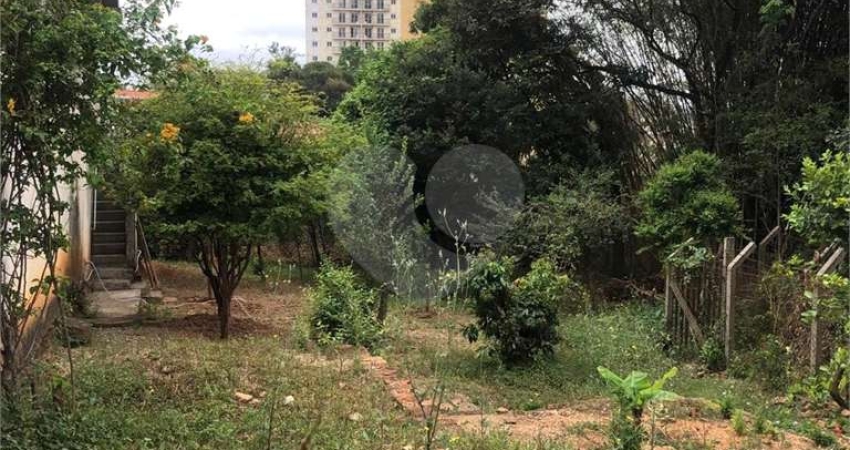 Terreno na Rua Augusto Tolle - Ótimo para investidores