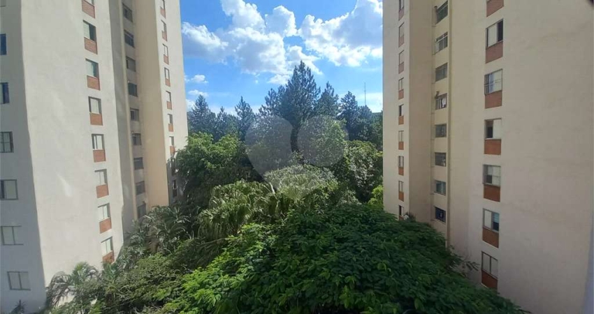 Apartamento com 3 quartos à venda na Rua Bento Araújo, 149, Tremembé, São Paulo