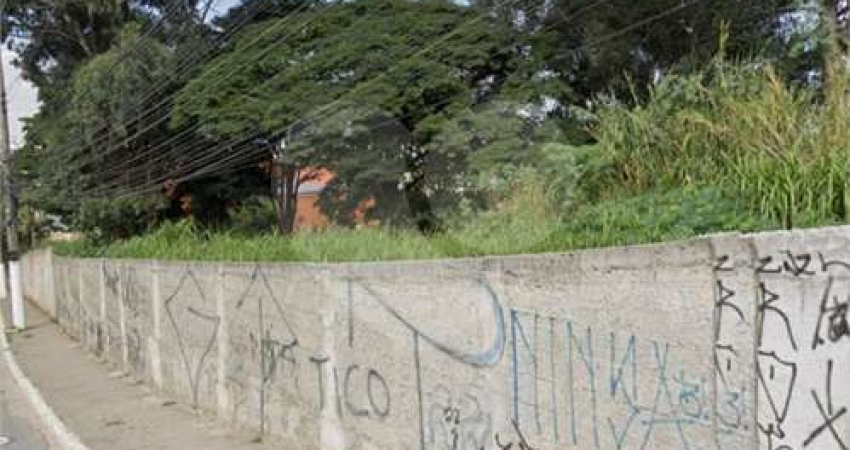 Terreno comercial para alugar na Rua Domingos Vega, 300, Brasilândia, São Paulo