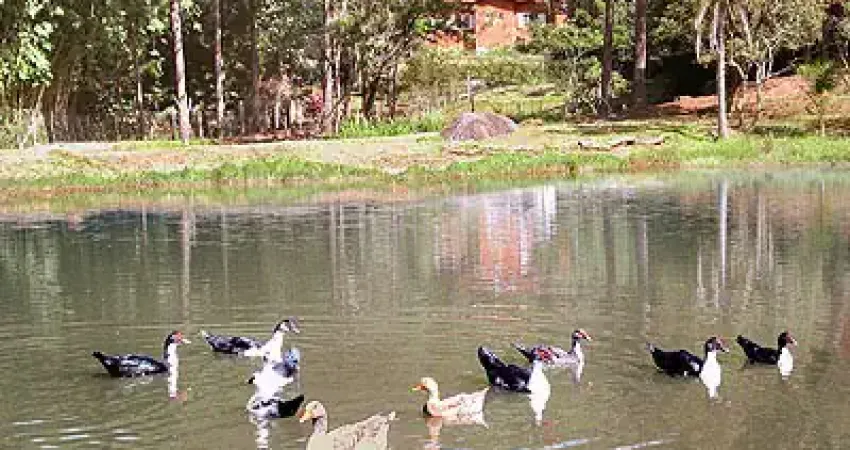 Sítio com casa de 1000 m2 no  parque mira flores  em  itapevi - são paulo
