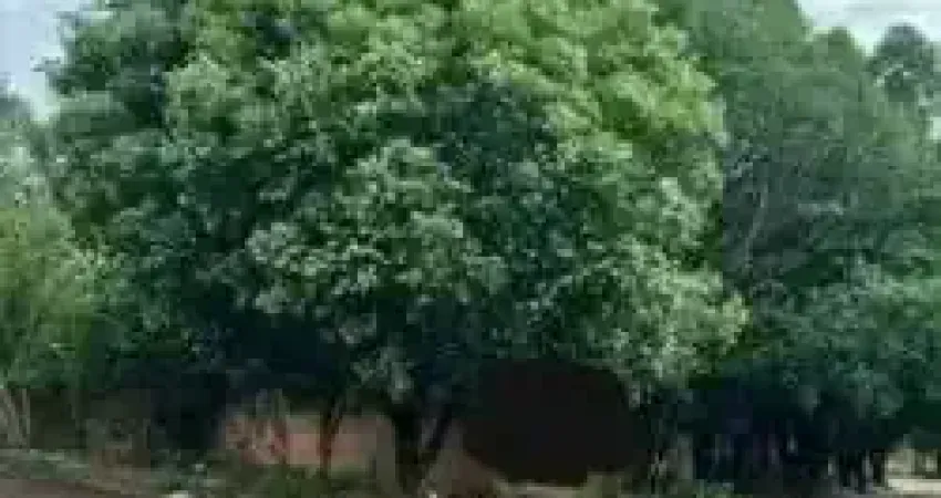 Terreno à venda na Rua São Higino, Bairro Seminário, Campo Grande