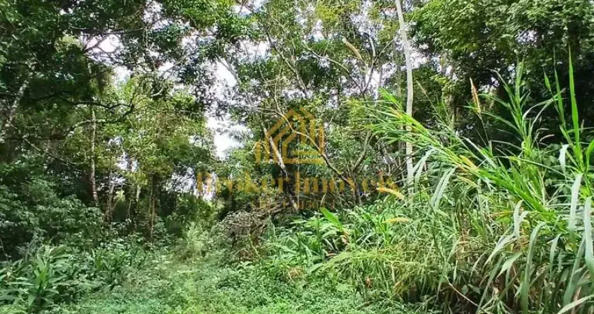 Oportunidade única no Litoral Norte de SP, 5 lotes de terreno em Massaguaçu Caraguatatuba-SP à 1000 metros da praia