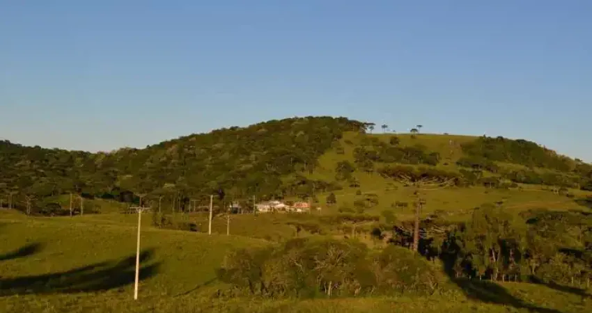 Chácara / sítio com 3 quartos à venda em Juá, São Francisco de Paula