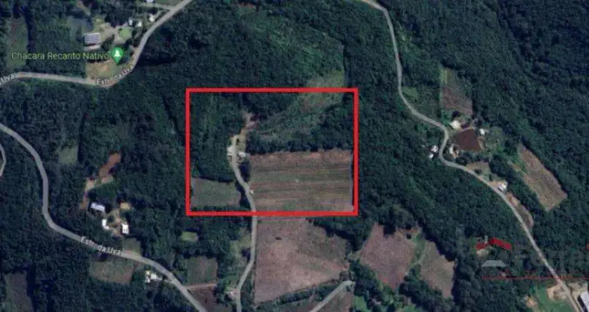 Ferreira Negócios Imobiliários Vende	Chácara em Caxias do Sul Bairro Conceição linha Feijó  Chácara
