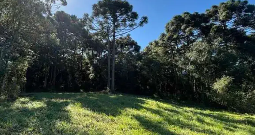 Ferreira Negócios Imobiliários Vende	Chácara em Caxias do Sul Bairro Fazenda Souza Chácaras Fazenda Souza