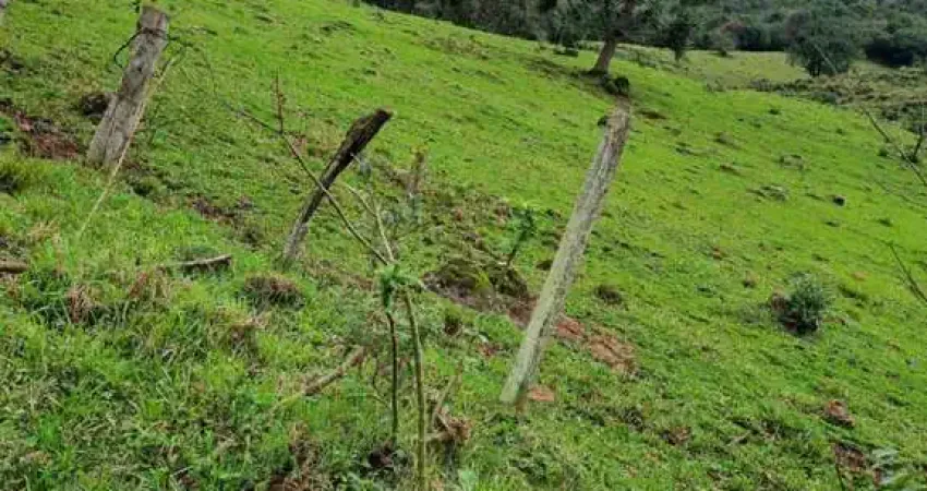 Ferreira Negócios Imobiliários Vende	Chácara em Caxias do Sul Bairro Santa Lúcia do Piaí Chácara