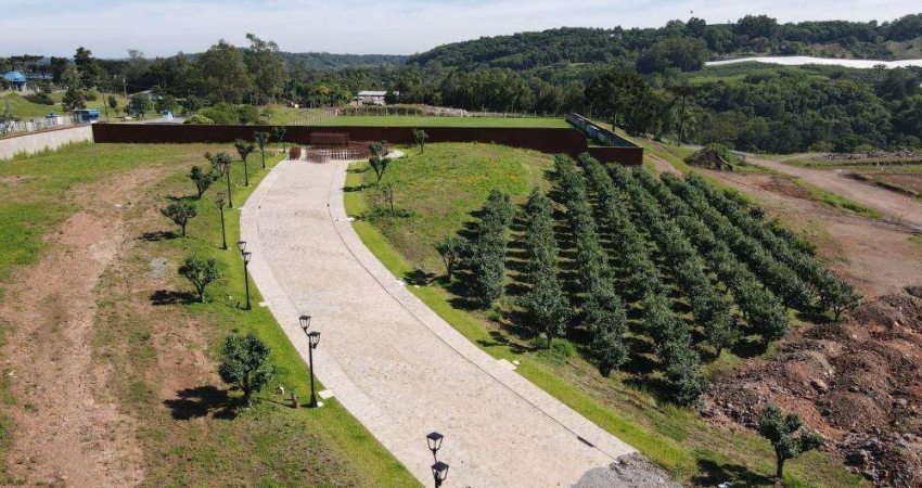 Ferreira Negócios Imobiliários Vende	Terreno em Caxias do Sul Bairro Monte Bérico Condomínio Fechado Villa Albero