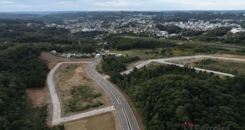 Terreno à venda na Alfândega, Garibaldi