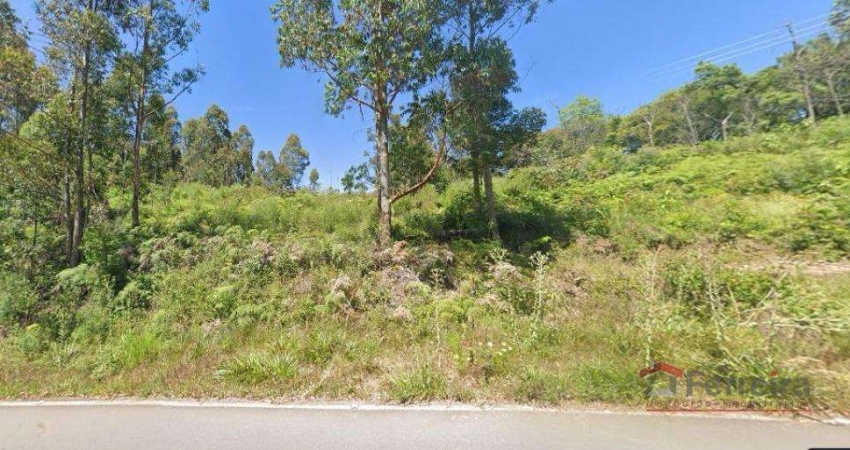 Ferreira Negócios Imobiliários Vende	Chácara em Caxias do Sul Bairro São Virgílio Chácara