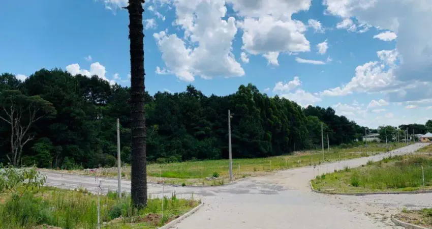 Ferreira Negócios Imobiliários Vende	Terreno em Garibaldi  Bairro Brasília Alameda da Colina