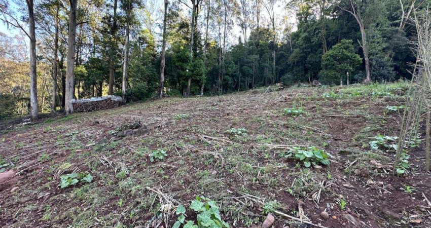 Ferreira Negócios Imobiliários Vende	Terreno em Caxias do Sul Bairro Galópolis Terreno