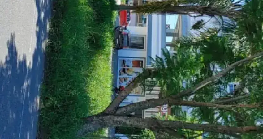 Terreno av.nova palhoça-viab 12 and. esquina excep.localizacao