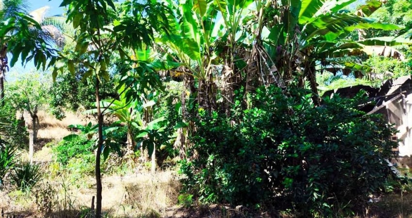 Sítio para Venda em Tanguá, POSSE DOS COUTINHOS