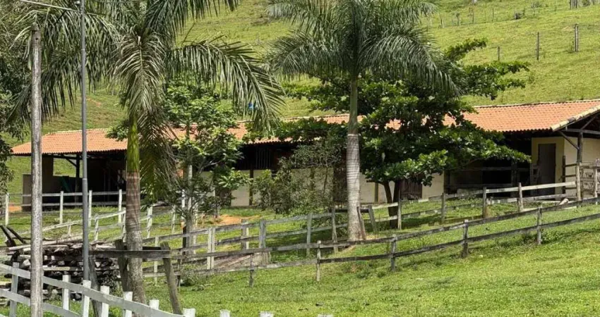 Sítio para venda em cachoeiras de macacu, papucaia, 2 dormitórios, 2 banheiros, 1 vaga