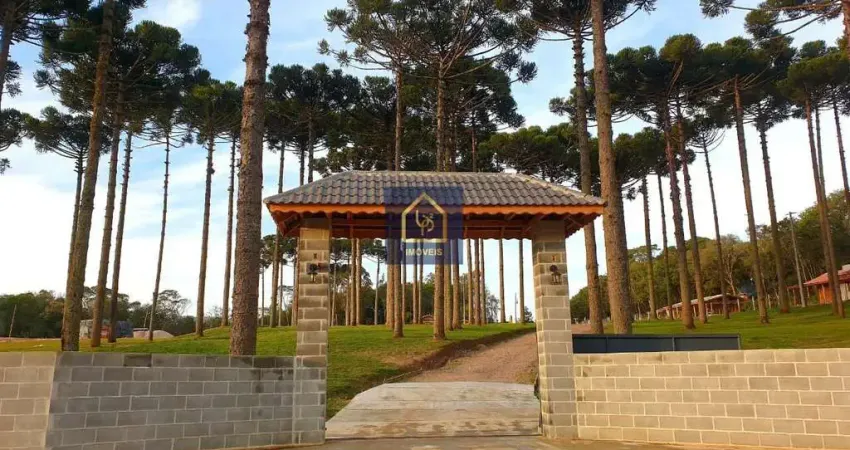 Chácara / sítio com 2 quartos à venda na Ribeirão Grande, Centro, Agudos do Sul