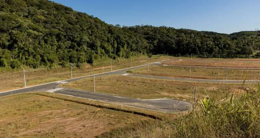 Terreno à venda na AVENIDA PREFEITO ALBERTO NATALINO MIQUELUTE, 6530, Itinga, Araquari