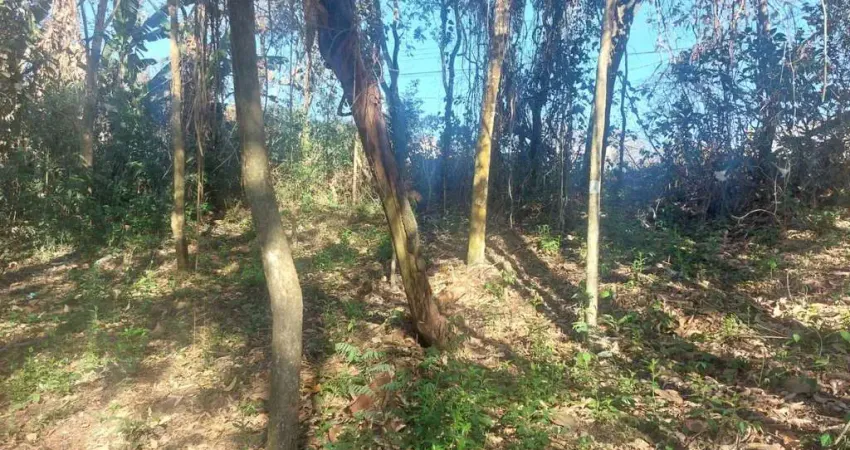 Terreno à venda, 1000 m² por R$ 280.000,00 - Lago da Cantareira - Mairiporã/SP