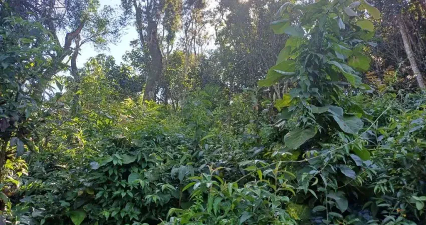 Terreno à venda, 1000 m² por R$ 200.000 - Recanto do Céu Azul - Mairiporã/SP