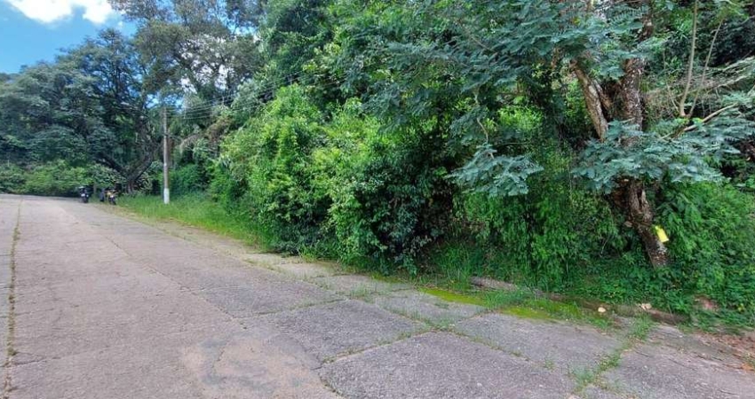 Terreno à venda, 1550 m² por R$ 300.000,00 - Caraguatá - Mairiporã/SP