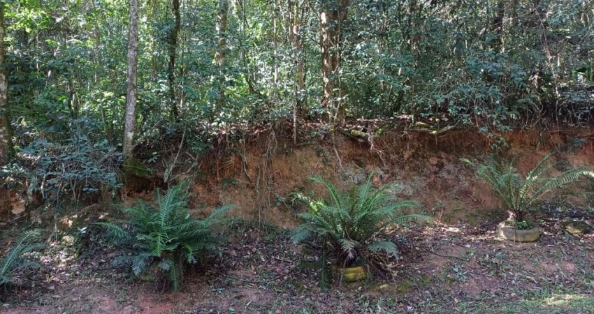 Terreno à venda, 1059 m² por R$ 175.000,00 - Vila Renascença - Mairiporã/SP
