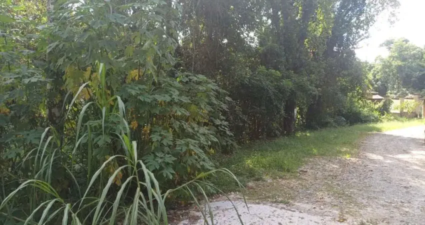 Terreno à venda, 1526 m² por R$ 195.000,00 - Sausalito - Mairiporã/SP