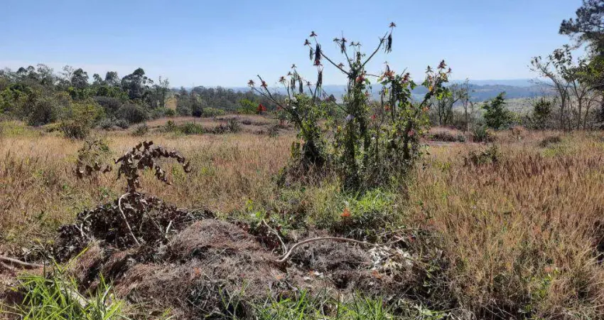 Chácara com 1 dormitório à venda, 24500 m² por R$ 850.000,00 - Chácara Alpina  - Valinhos/SP
