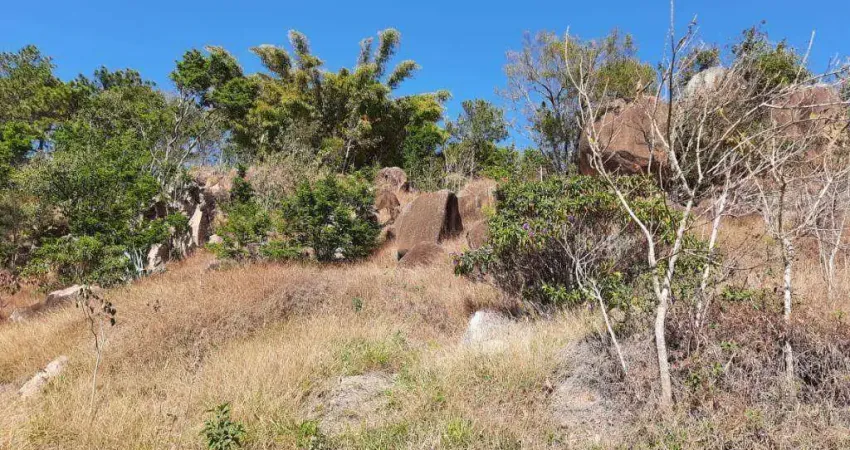 Área à venda, 24500 m² por R$ 850.000,00 - Chácara Alpina  - Valinhos/SP