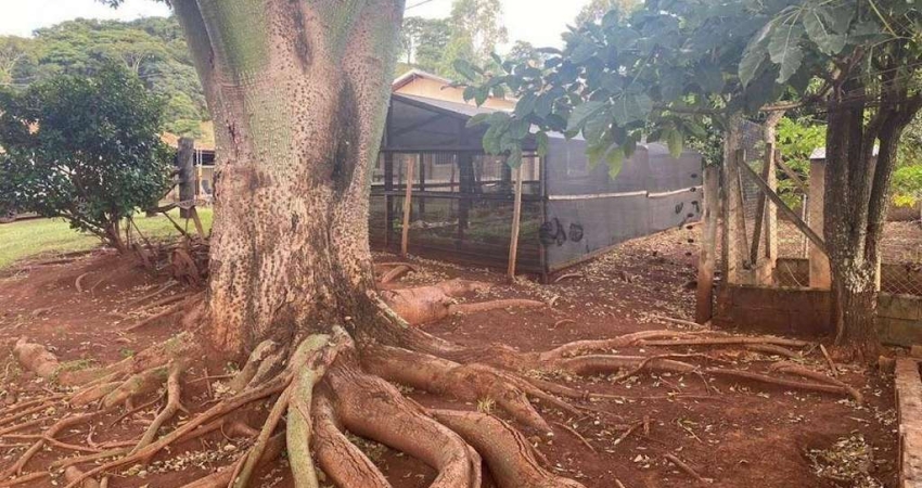 Fazenda / Sítio para venda em Zona Rural de 157300.00m² com 3 Quartos, 1 Suite e 3 Garagens