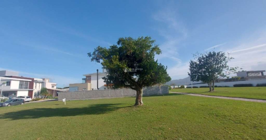 Terreno à venda na Rodovia Aparício Ramos Cordeiro, 180, Campeche, Florianópolis