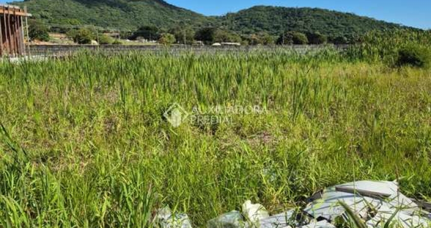 Terreno à venda na Rodovia Doutor Antônio Luiz Moura Gonzaga, 3312, Rio Tavares, Florianópolis