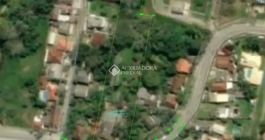 Terreno à venda na Rua Intendente Antônio Damasco, 3559, Ratones, Florianópolis