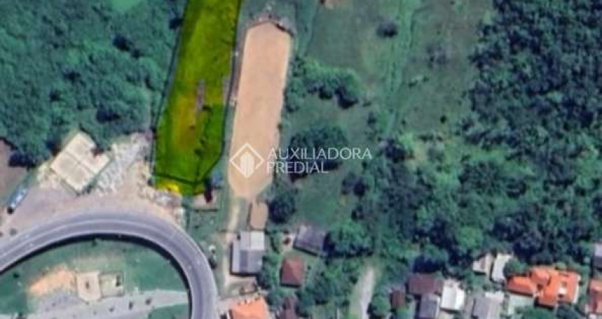 Terreno à venda na Rodovia Doutor Antônio Luiz Moura Gonzaga, 4734, Rio Tavares, Florianópolis