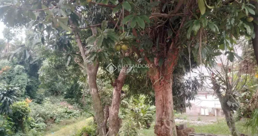 Terreno à venda na Rua João Evangelista da Costa, 663, Coloninha, Florianópolis