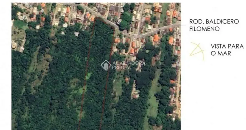 Terreno à venda na Rodovia Baldicero Filomeno, 847, Ribeirão da Ilha, Florianópolis