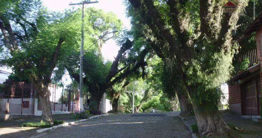 Terreno residencial à venda, Bairro Vila Ipiranga, Porto Alegre.