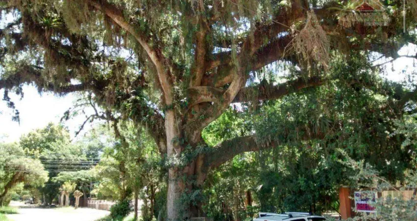 Terreno à venda na Avenida Desembargador Mello Guimarães, 135, Belém Novo, Porto Alegre