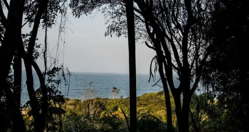 Terreno à venda no Armação do Pântano do Sul, Florianópolis 