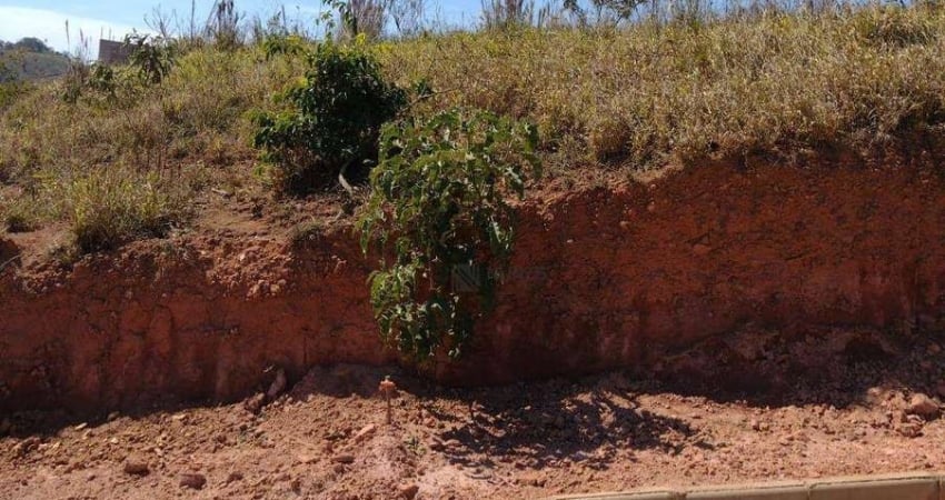 Terreno à venda, 354 m² por R$ 70.000 - Igrejinha - Juiz de Fora/MG