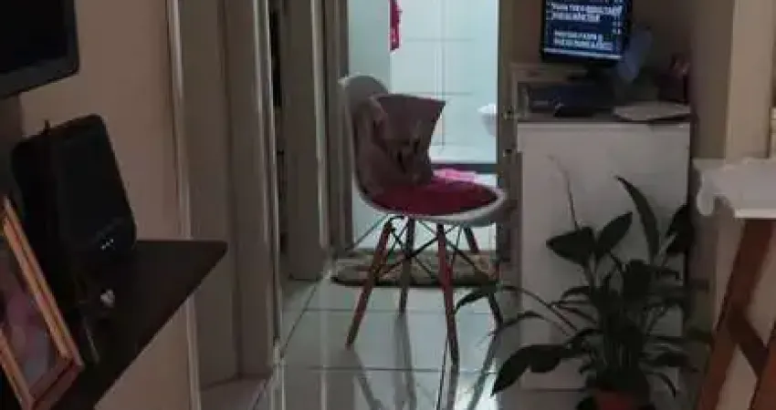 Apartamento com 2 quartos à venda no Jardim Bassoli, Campinas 
