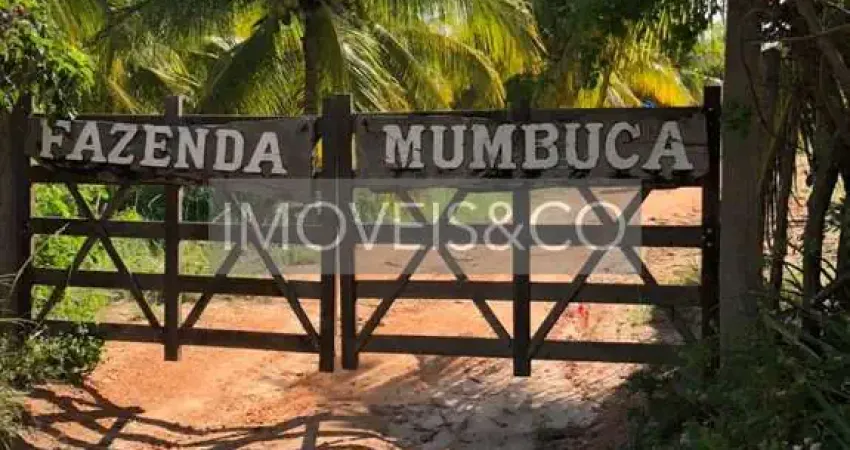 Espetacular: fazenda com vista para o mar, à venda em conde-ba, barra do itariri - 2 quartos, 2 banheiros, 10 vagas de garagem, 649.000,00 m² de área!