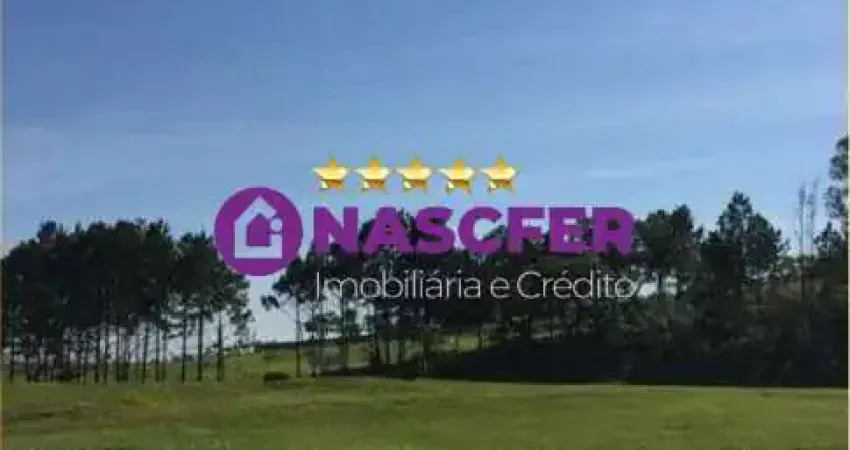 Terreno comercial para alugar na Castelo Branco, Centro, Sorocaba