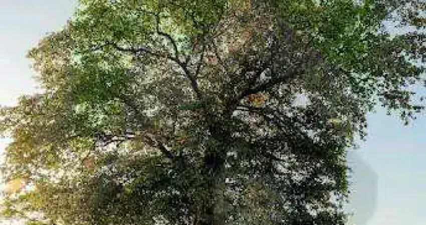 Terreno em condomínio para venda em indaiatuba, reserva itanhangá