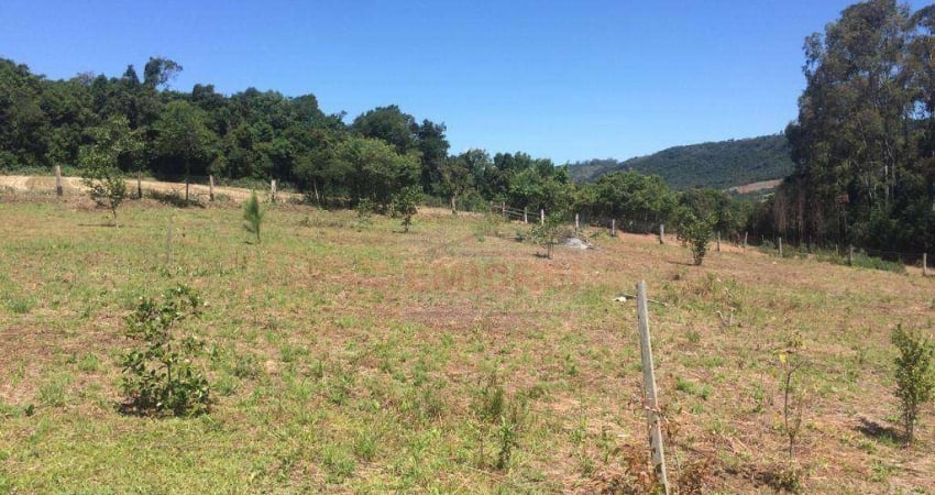 Sítio à venda, 1200 m² por R$ 104.000,00 - Lomba Grande - Novo Hamburgo/RS
