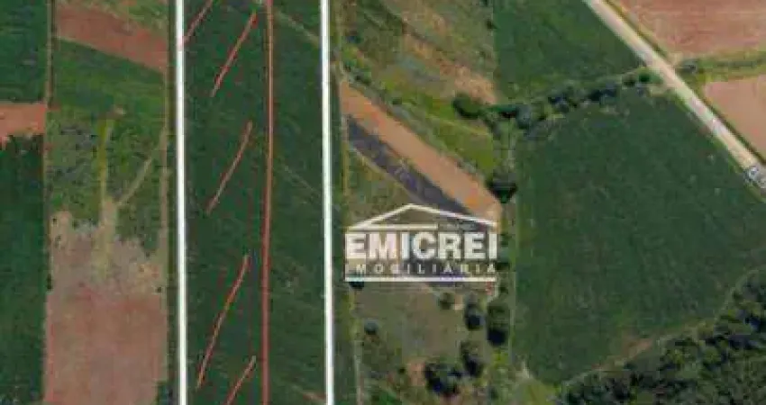 Área à venda, 6 hectares por R$ 798.000 - Lomba Grande - Novo Hamburgo/RS