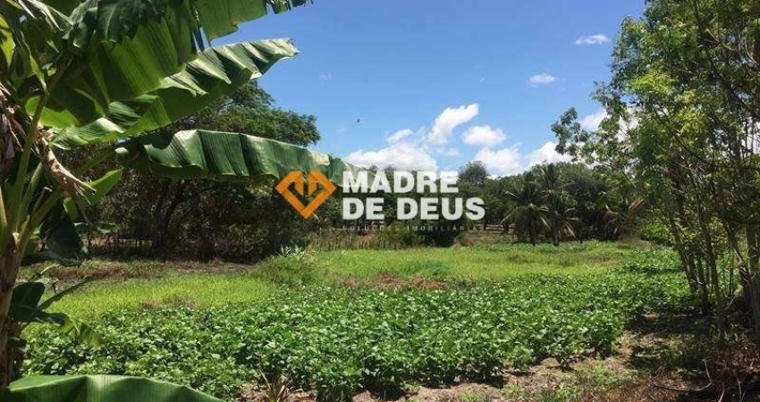 Terreno à venda na Manoel Antônio, 164, Dourado, Horizonte